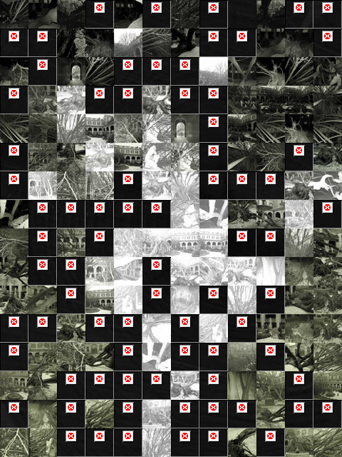 Capture 2006