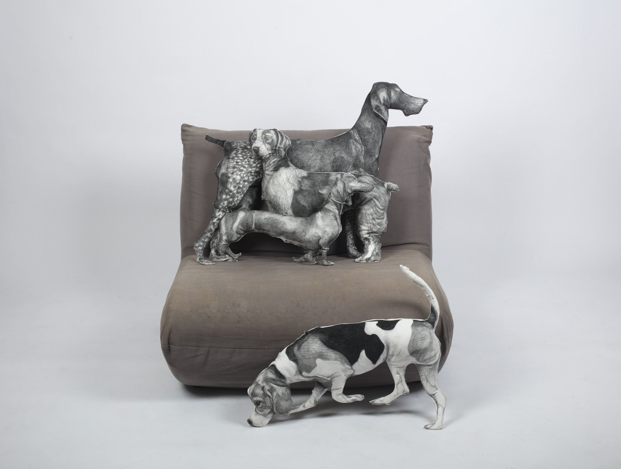 Canis Lupus Familiaris / Alexandra Bessette