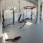 Epiphytosis / Alexandre Campos