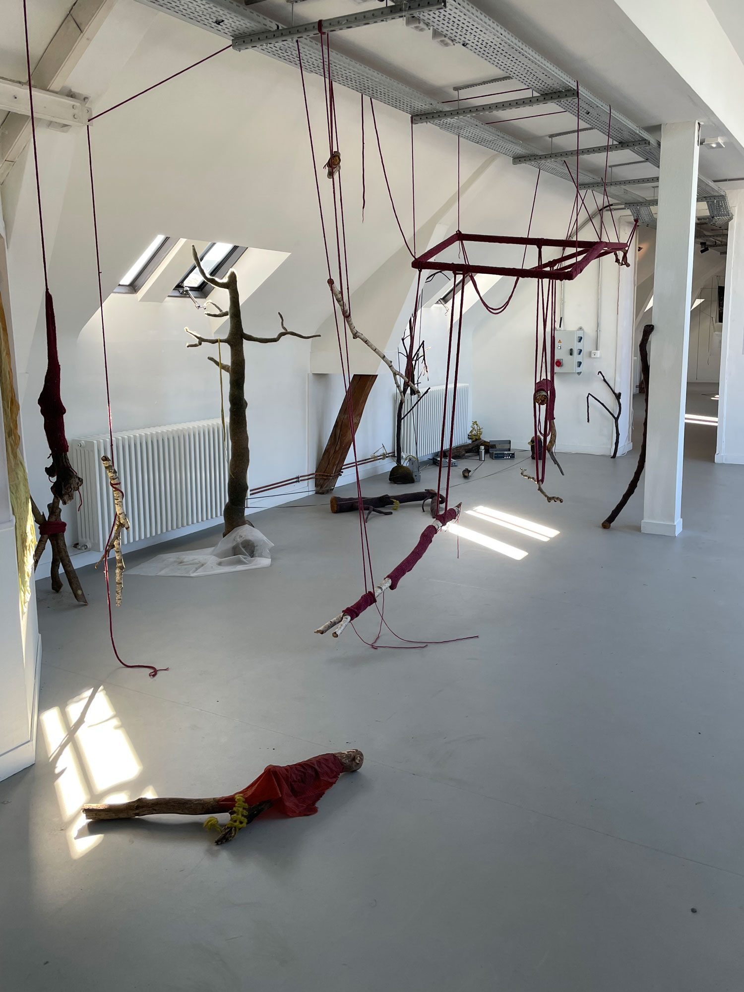 Epiphytosis / Alexandre Campos