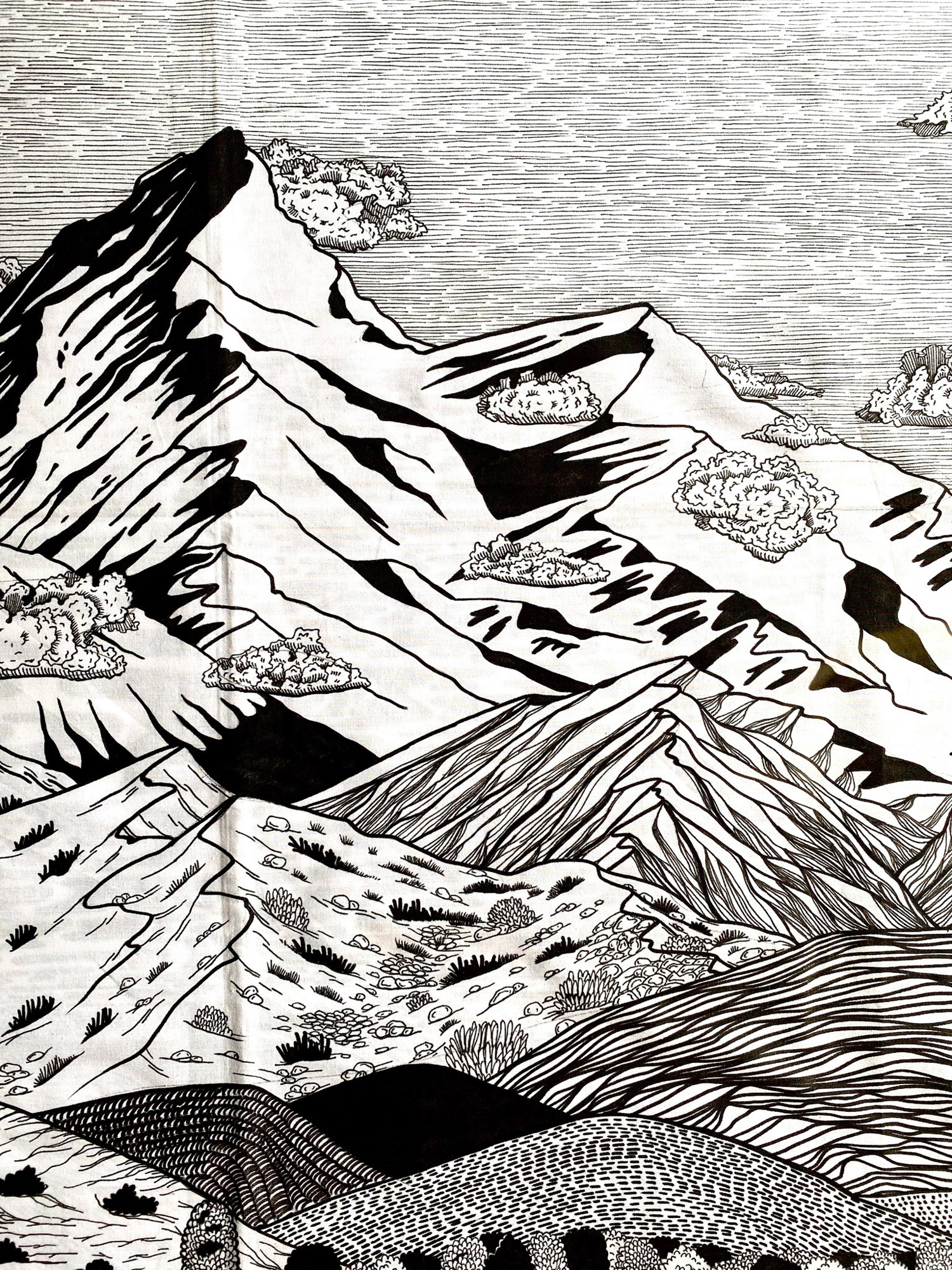 Sirine Hamiani / Paysage