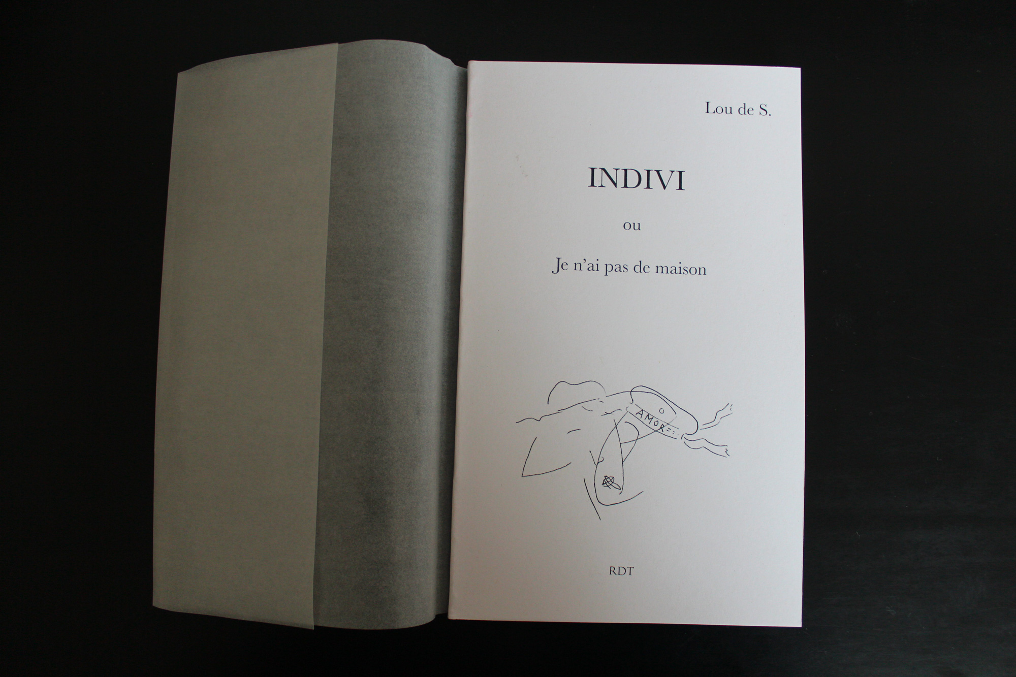 INDIVI ou je n’ai pas de maison / Liubov Jouault