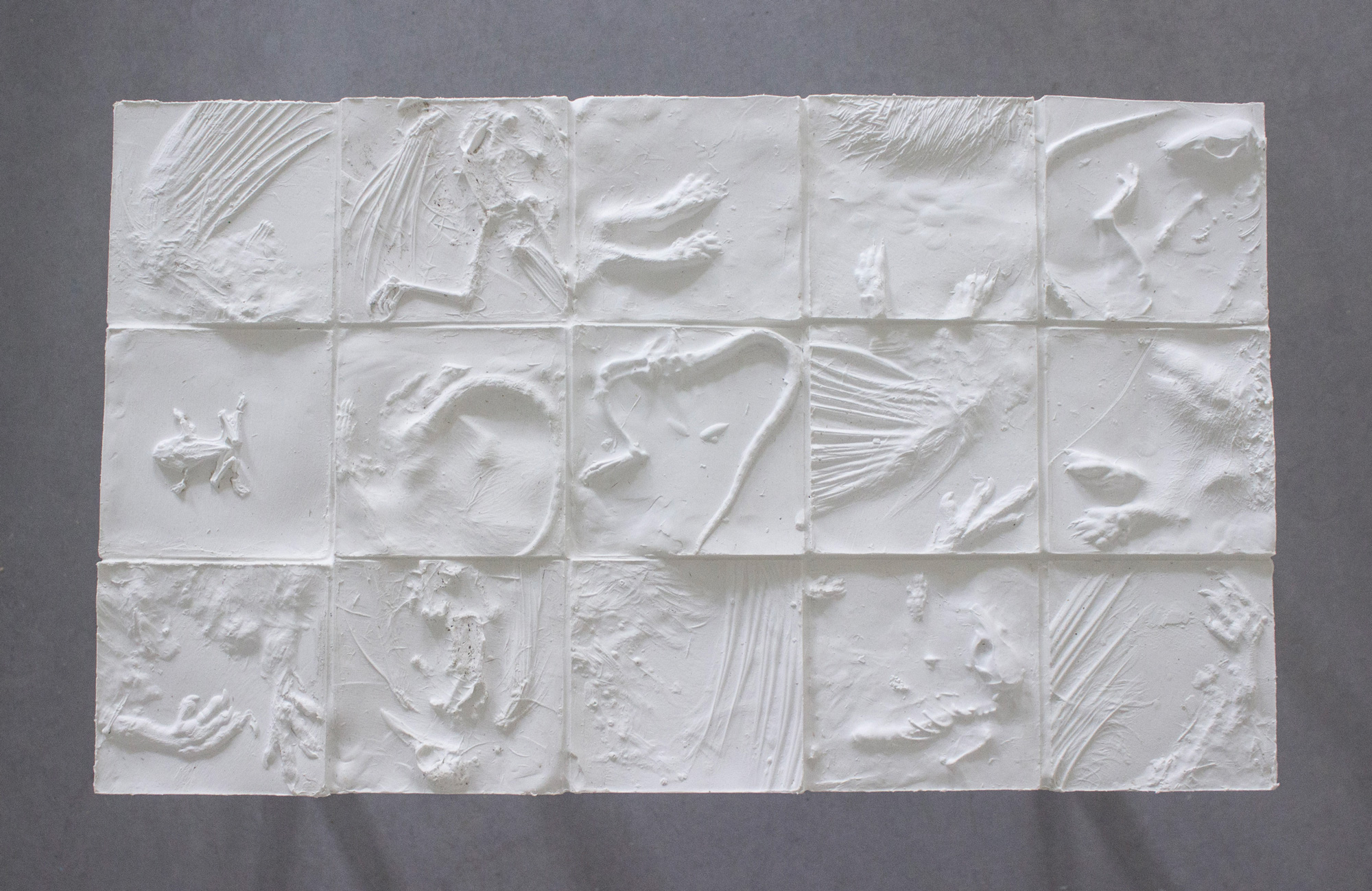 imagines quadratum / Alexandra Bessette