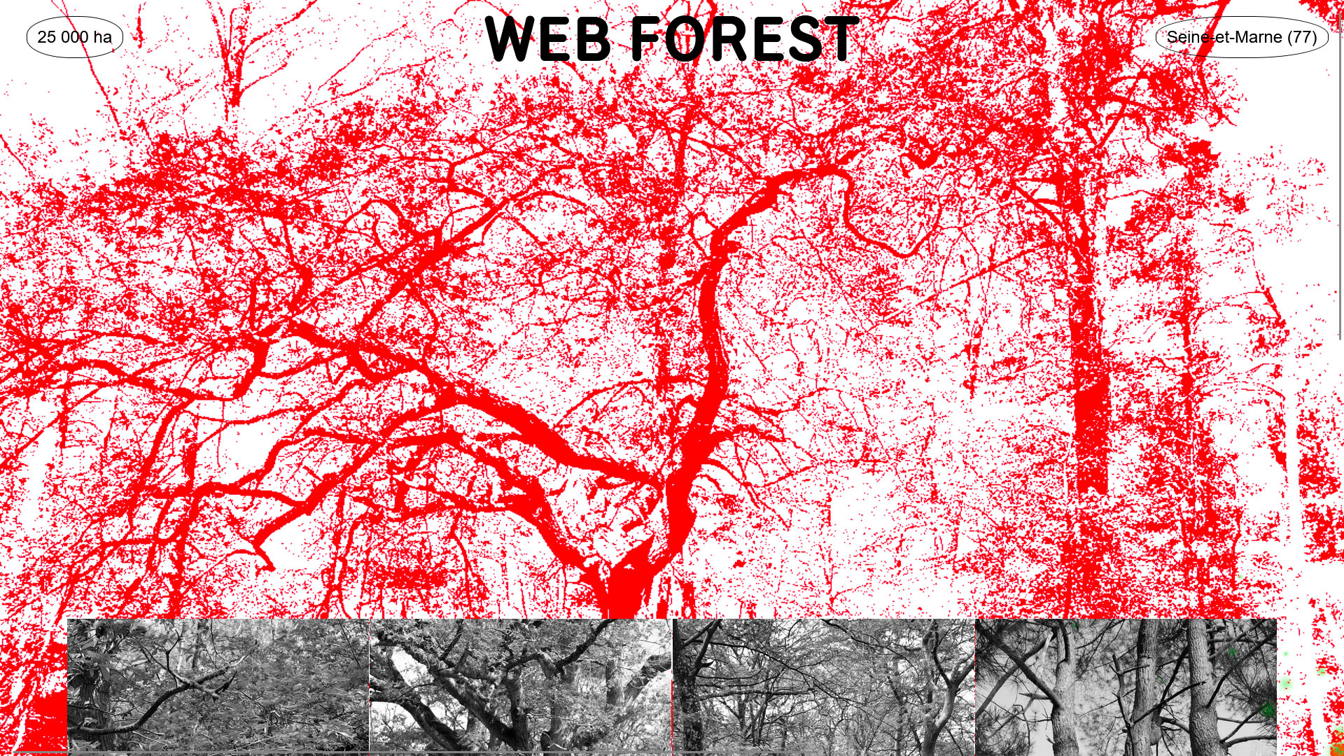 Web Forest / Audrey Dupont
